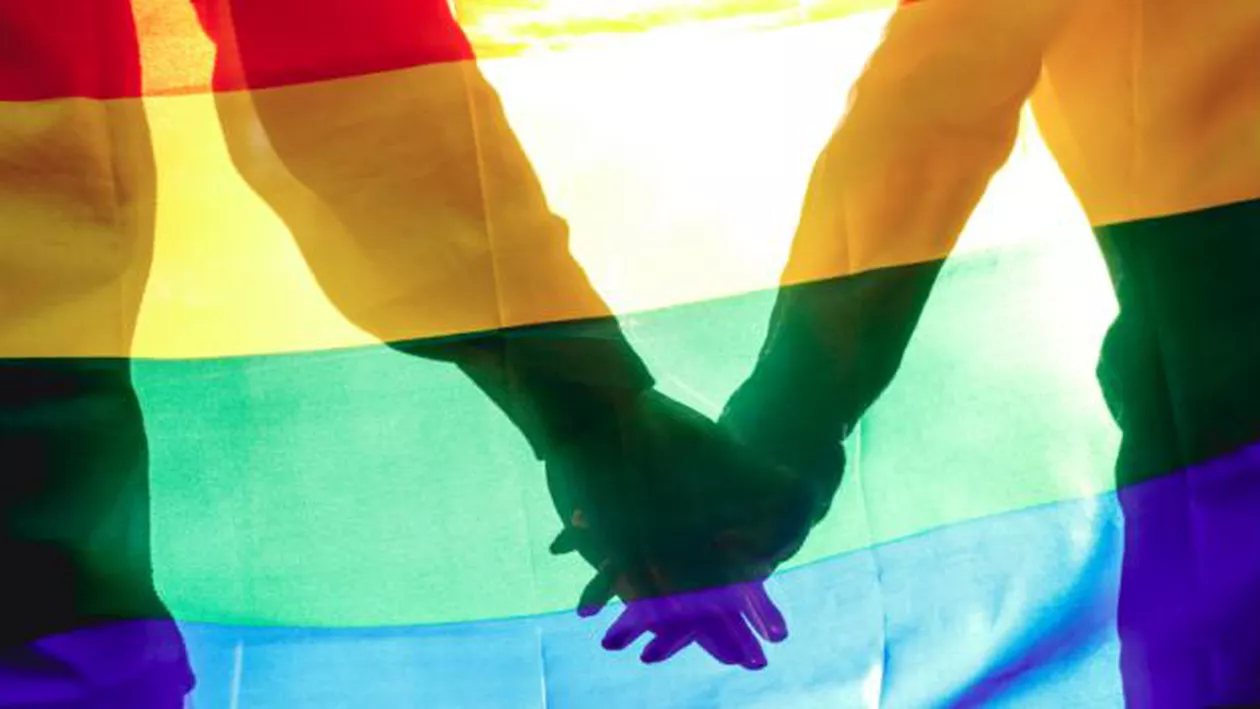 Parteneriatul civil, în Parlament: Căsătoriile între persoanele de același sex sunt echivalente uniunilor consensuale, iar ceremoniile vor avea loc la starea civilă. Cuplurile gay NU vor avea dreptul la adopție