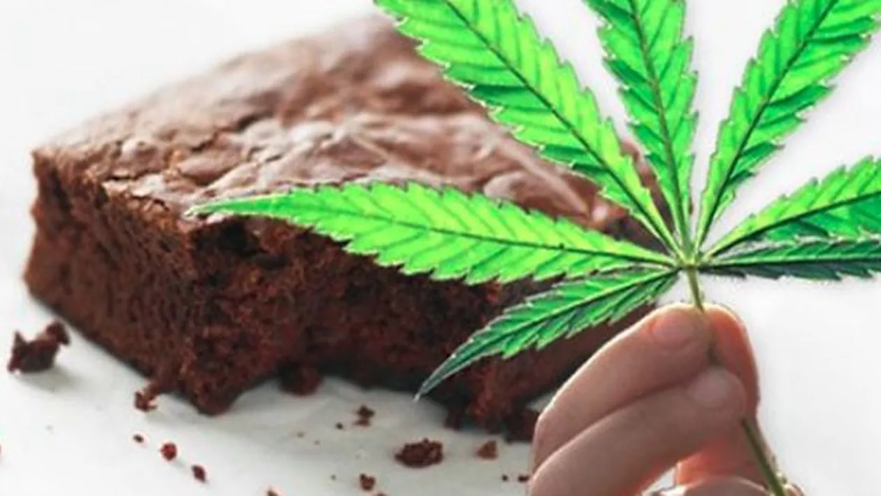 Se cere REFERENDUM pentru legalizarea MARIJUANEI: “Nu reuşim să ne strângem şi noi trei milioane”