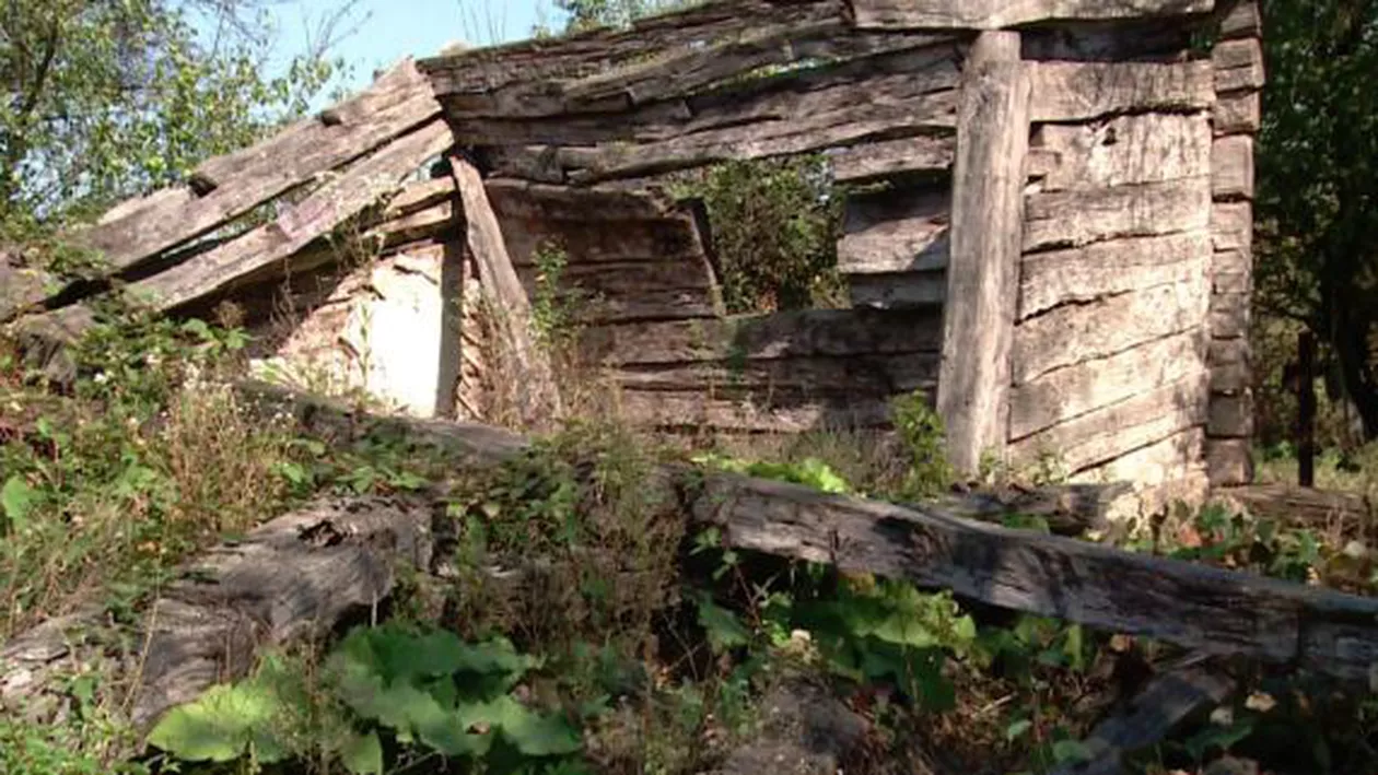Cum îşi respectă statul român valorile: Casa în care s-a născut Constantin Brâncuşi s-a prăbuşit după ce a fost lăsată în paragină (FOTO)