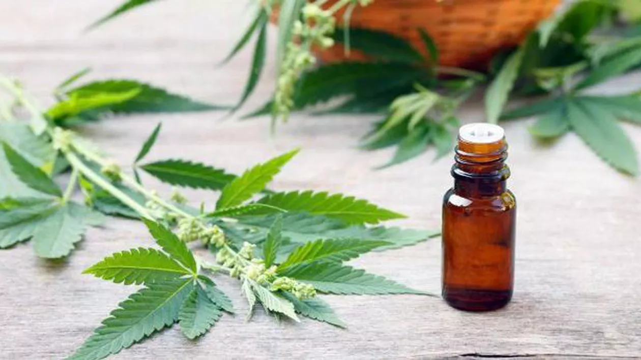 O altă țară din Uniunea Europeană legalizează cannabisul