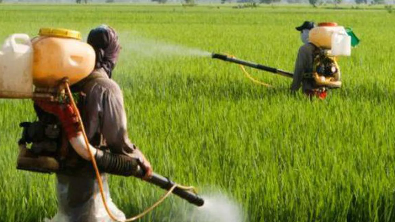 'TUTA ABSOLUTĂ’ e de NEOPRIT! A făcut ravagii! Fermierii sunt DISPERAȚI