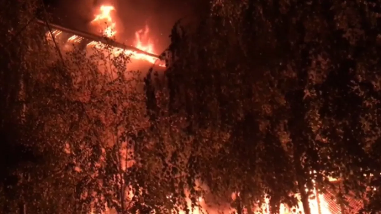 A MURIT ars de viu la mănăstire! TRAGEDIA MOMENTULUI în România (VIDEO)