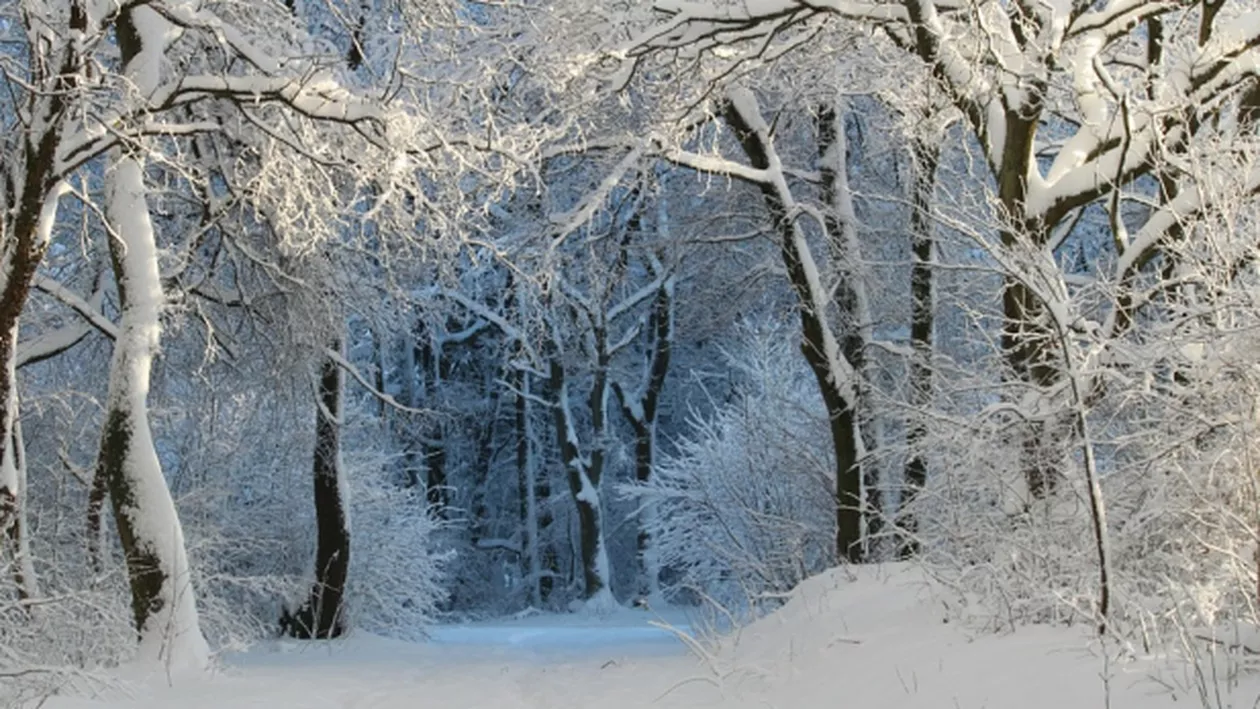 ALERTĂ METEO: Valul POLAR face RAVAGII în România! Care sunt zonele vizate și până când ține URGIA...