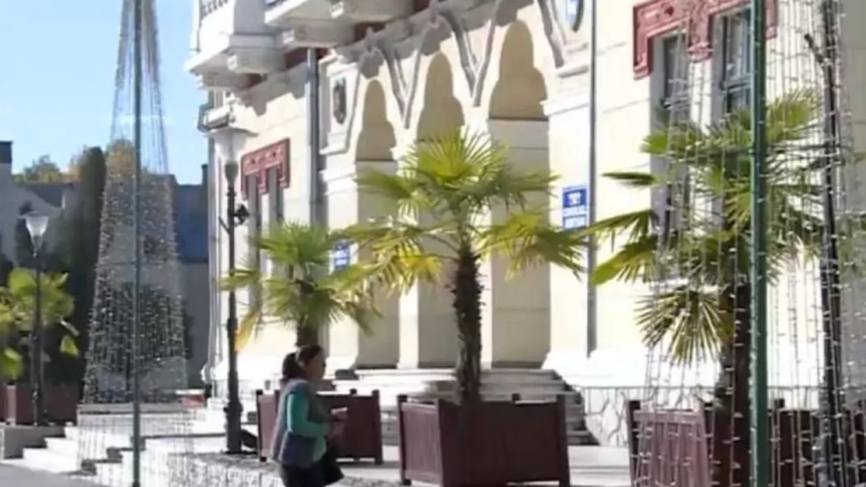 Două anotimpuri se întâlnesc în Târgu Jiu. Autorităţile au instalat brazii de Crăciun chiar lângă palmieri