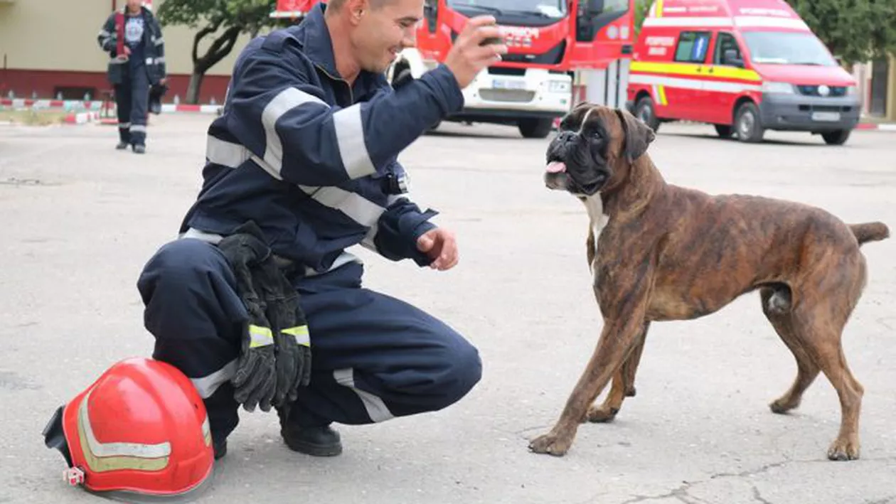 Căţeluşul Max a devenit mascota ISU Prahova după ce a fost salvat de un pompier inimos
