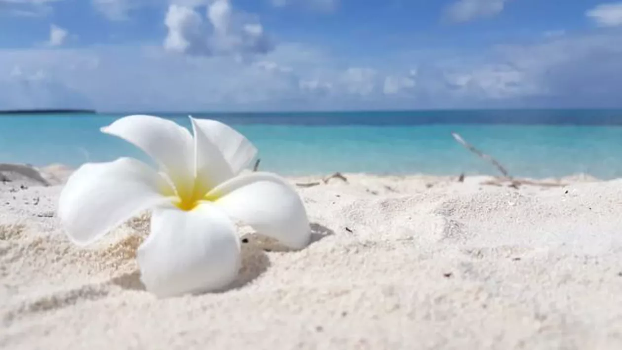 O stațiune cunoscută, MODERIZATĂ pe bani europeni: Când vor demara lucrările