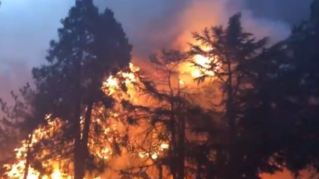INCENDIU DEVASTATOR în California! Sute de mii de oameni, EVACUAȚI. BILANȚUL VICTIMELOR (VIDEO)