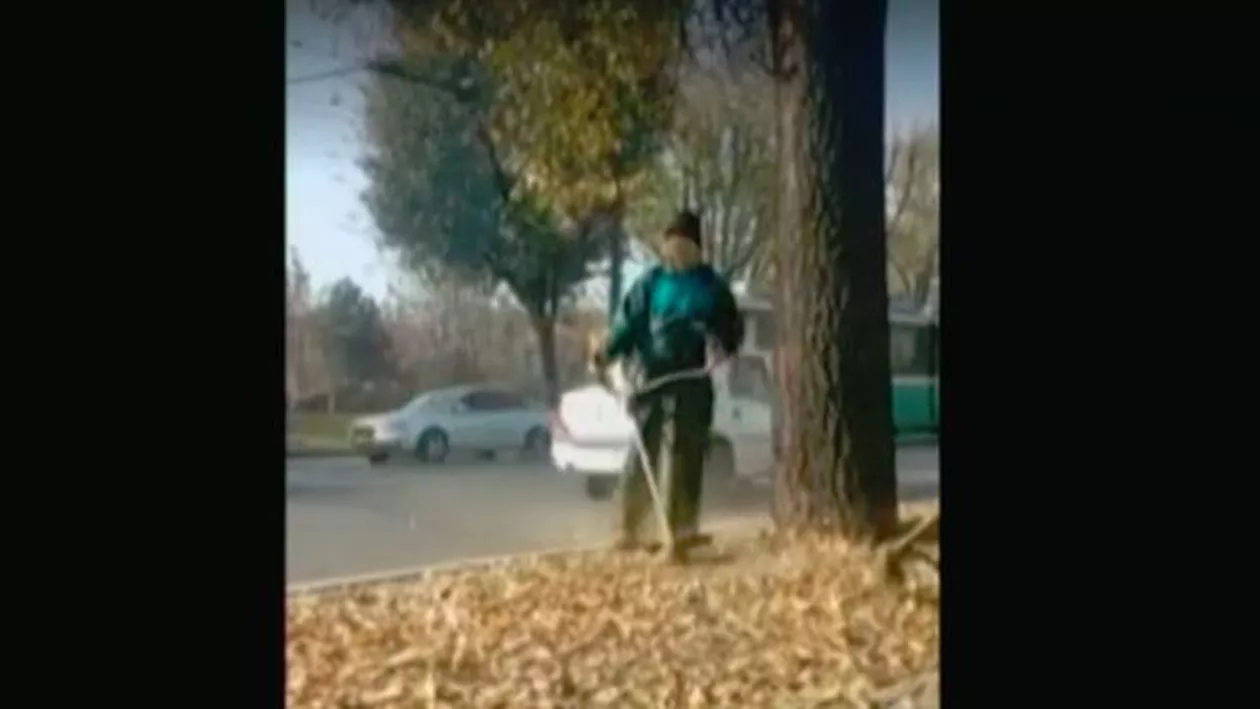 Imagini incredibile la Iași: Muncitori, filmați în timp ce ”strângeau” frunzele uscate cu mașina de tuns iarba (VIDEO)