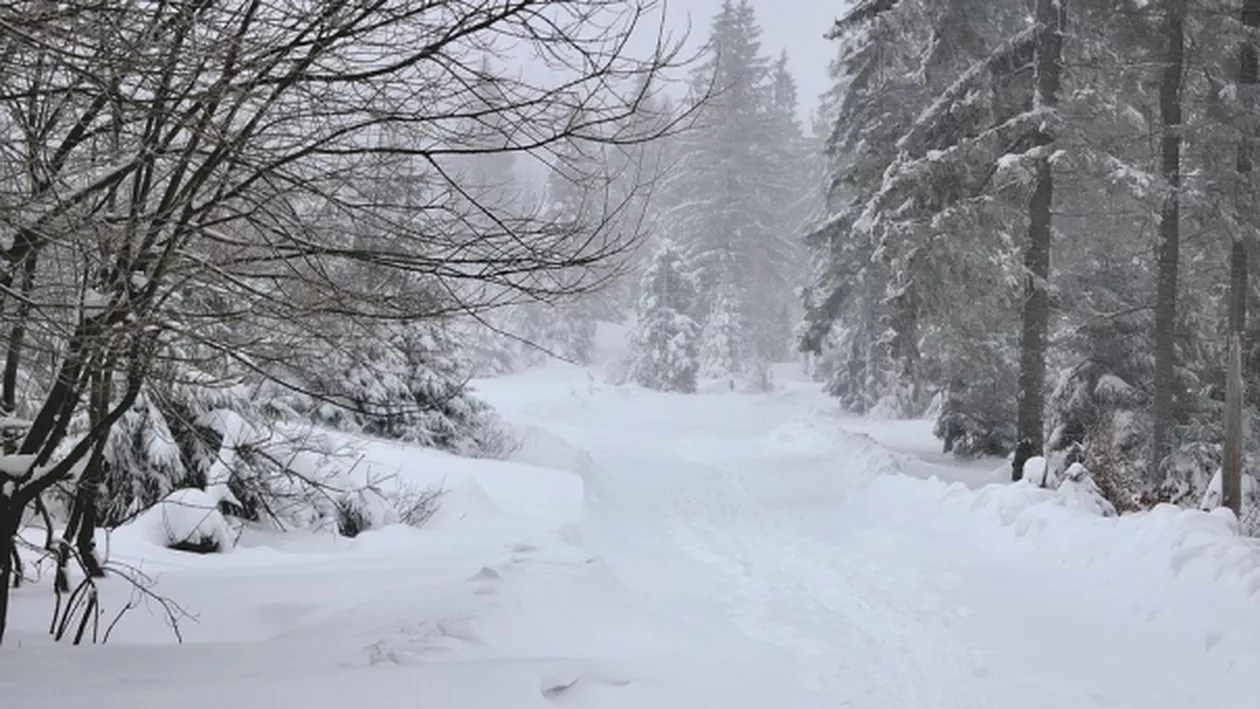 Iarna își arată colții: Ninge în mai multe zone din țară (VIDEO)