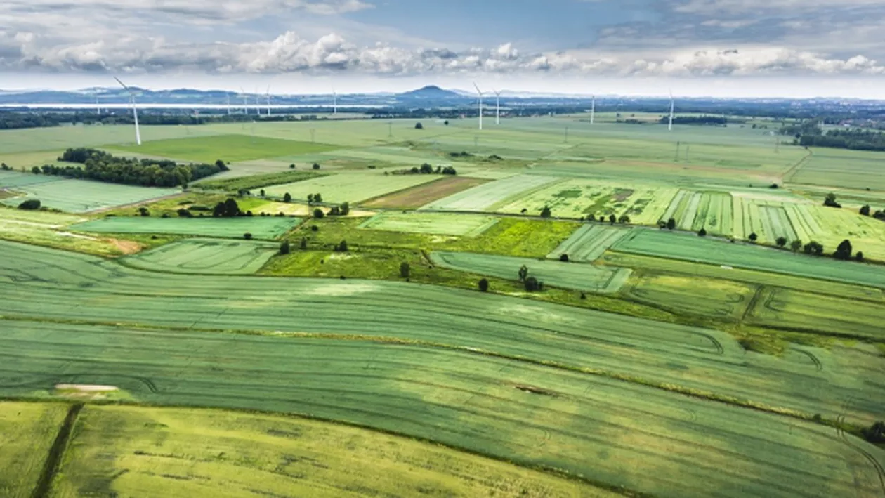 PANICĂ printre agricultori! Decizia este OFICIALĂ: Străinii care deţin terenuri agricole sunt OBLIGAŢI să le vândă! În cât timp trebuie să o facă