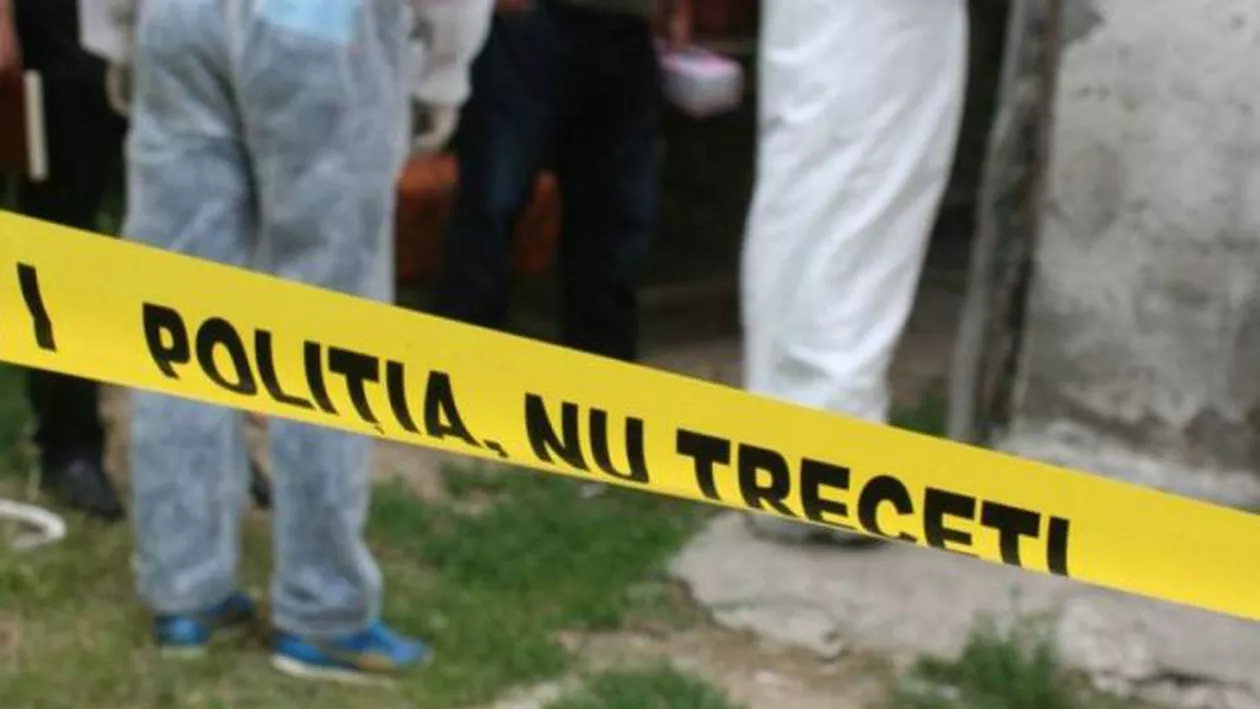 Descoperire macabră într-o pădure din Satu Mare: Scheletul unui bărbat mort de mai bine de un an a fost găsit de niște muncitori