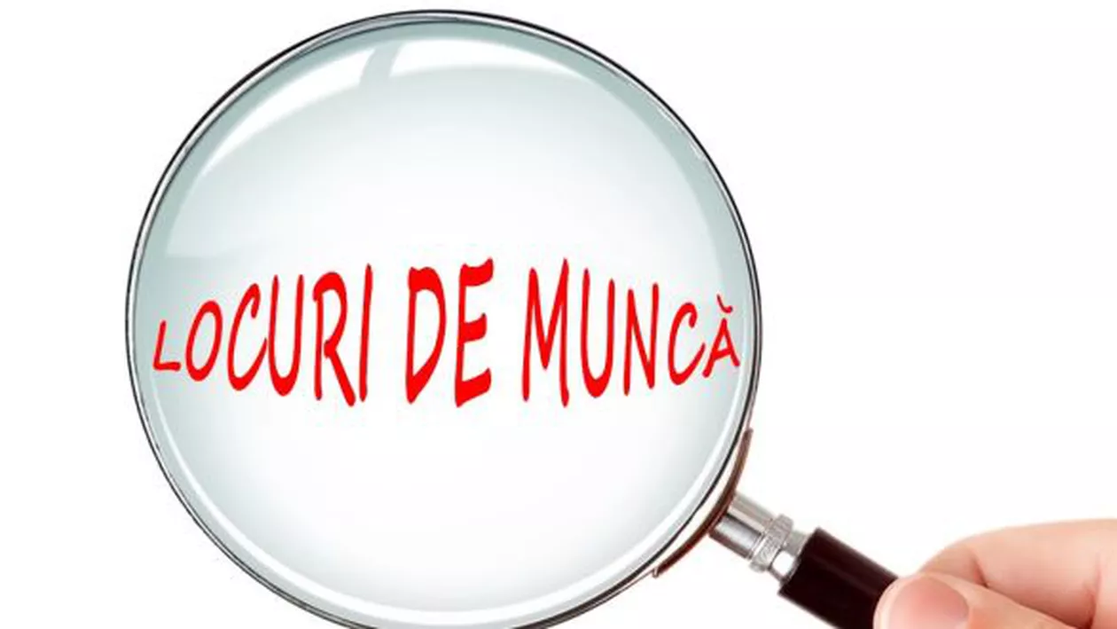 Se fac angajări la stat. 900 de posturi, scoase la concurs