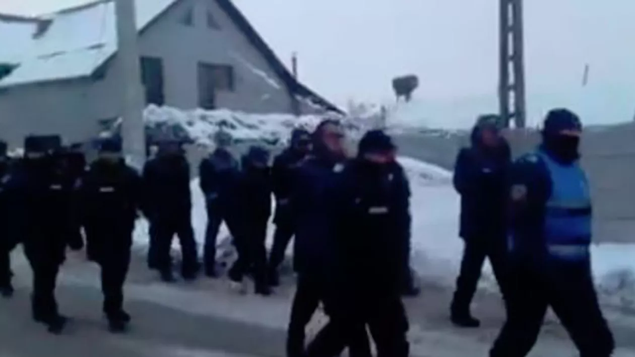 Zeci de jandarmi au intervenit într-un sat în care localnicii s-au opus sacrificării porcilor suspectați de pestă porcină africană (VIDEO)