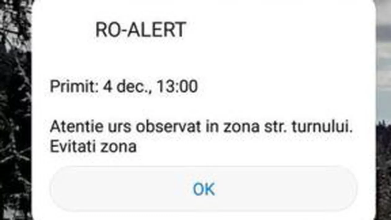 RO-ALERT, avertizare de ULTIMĂ ORĂ: Urs pe străzile oraşului Braşov! VEZI ce stradă TREBUIE SĂ EVIȚI (VIDEO)