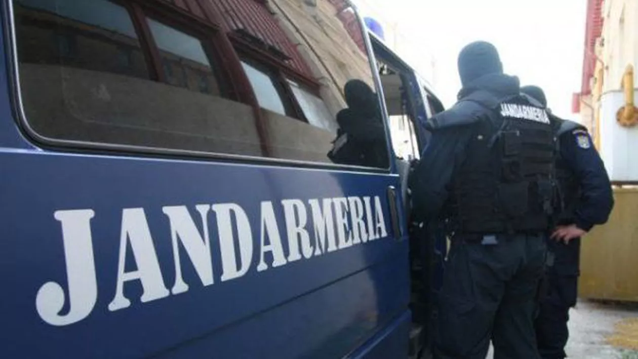 Jandarmii, mobilizați împotriva unei... pisici agresive (VIDEO)