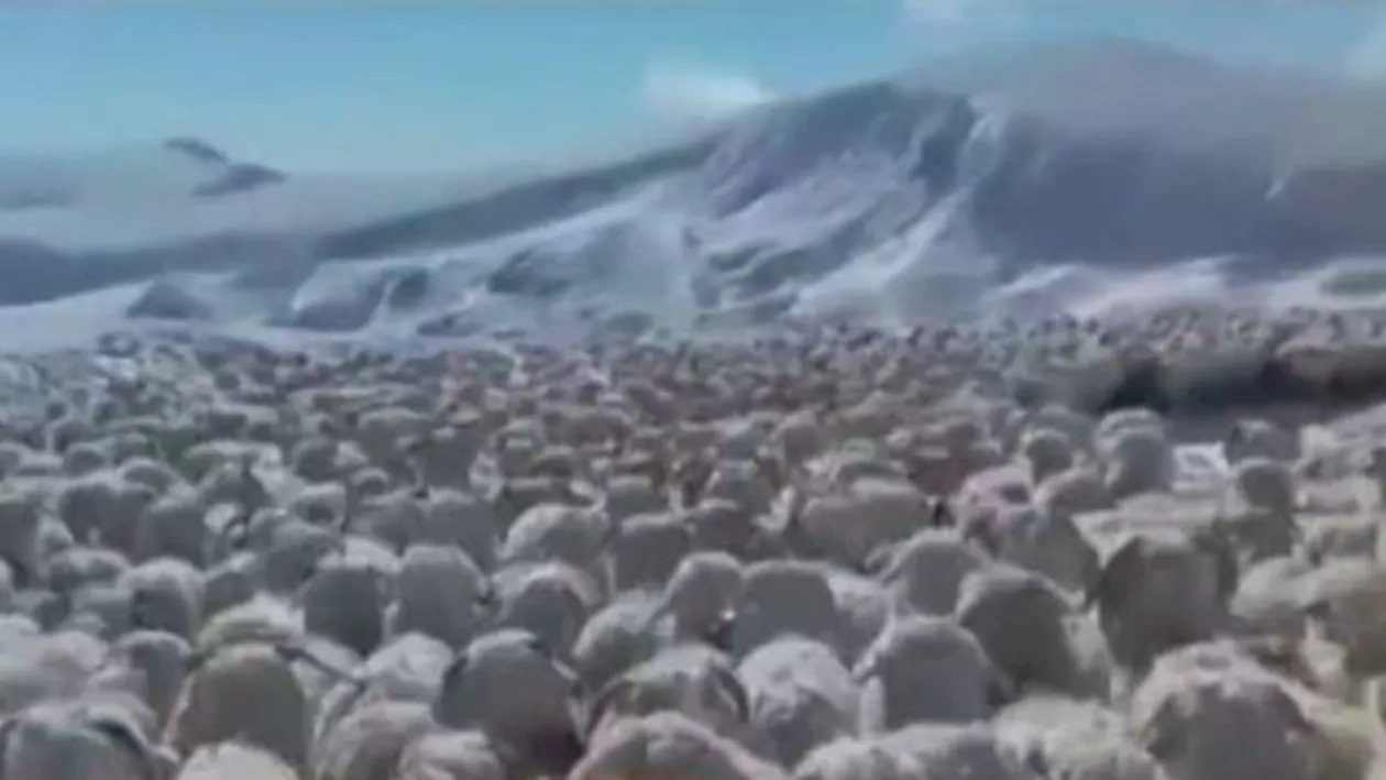 Drumul către Rânca a fost ÎNCHIS! Toți turiștii sunt COBORÂȚI cu ajutorul UTILAJELOR