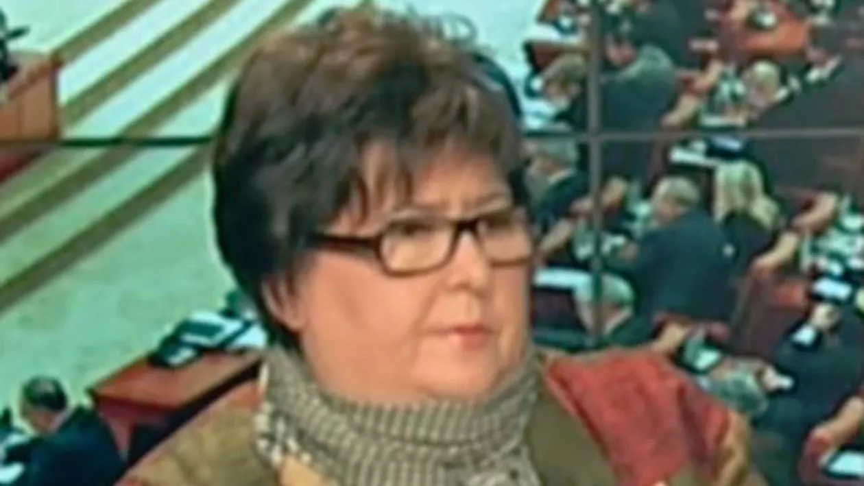 Alina Mungiu Pippidi, despre amnistie și grațiere: Asupra lui Tudorel Toader se fac niște presiuni enorme, i se cer niște lucruri nerezonabile (VIDEO)