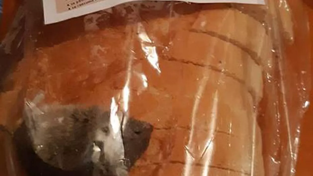 Descoperire ȘOCANTĂ: Pâine cu un șoarece mort, cumpărată de la un magazin dintr-un sat vasluian (FOTO)