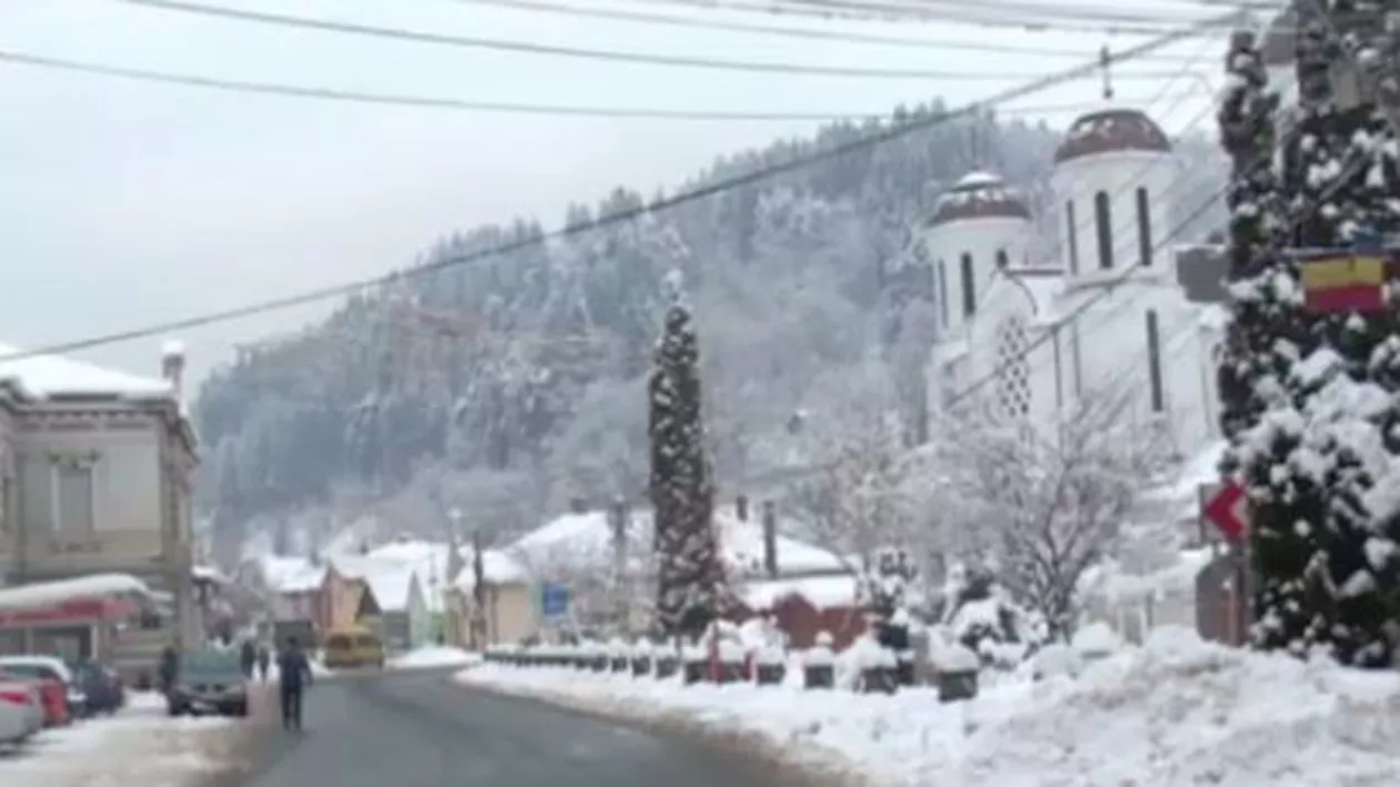 Asistații social rămași fără ajutoare au trecut la Planul B și iau de 6 ori mai mulți bani