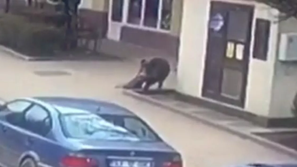 Un mistreț a ATACAT în plin centrul orașului Șimleu. Mai multe persoane au ajuns la SPITAL (VIDEO)