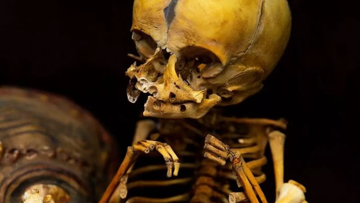 MACABRU! Magazinul din Anglia care vinde fetuşi umani şi părţi ale corpului omenesc (FOTO)