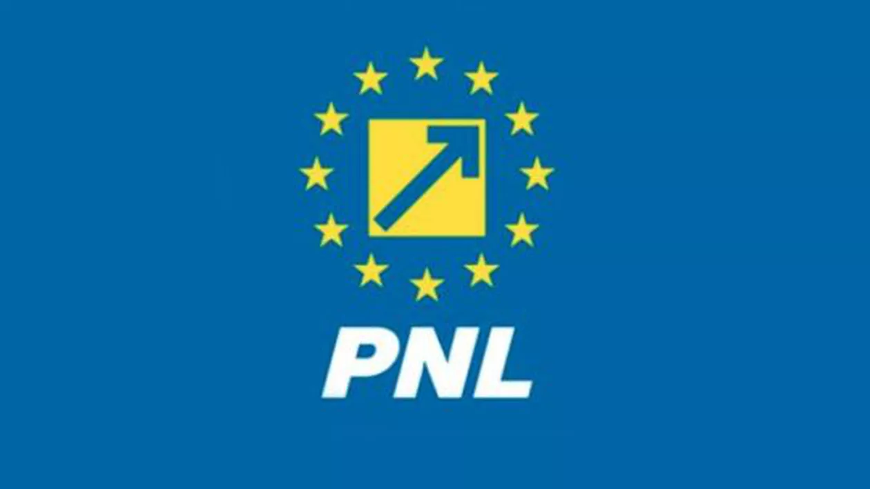 PNL denunță o tentativă de FRAUDARE A ALEGERILOR. Declarații BOMBĂ depre intenția lui Liviu Dragnea