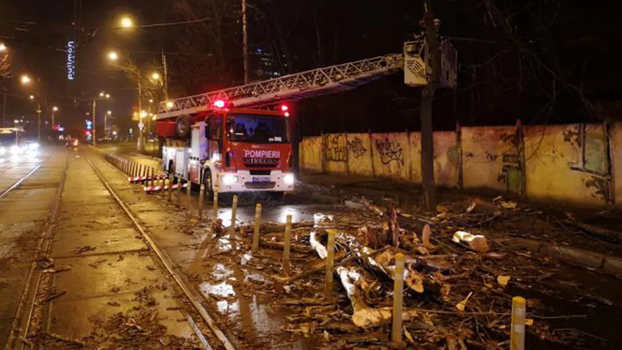 O furtună puternică a făcut ravagii în Capitală: Zeci de copaci, puși la pământ de vânt (VIDEO)