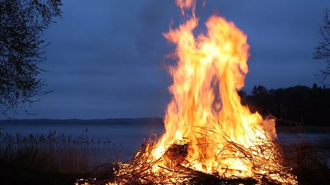 Incendiu la marginea Deltei: Mai multe hectare de vegetaţie şi stuf au luat foc