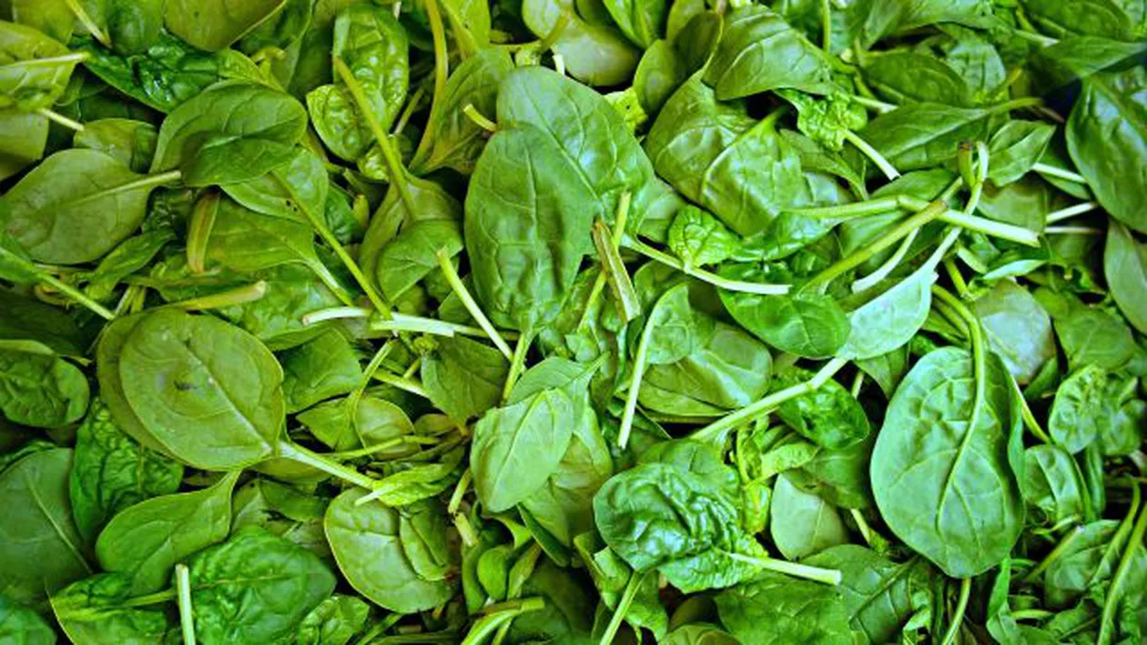 Primăvara în farfurie, GAURĂ ÎN BUZUNAR: Spanac, salată și ceapă verde la prețuri de lux (VIDEO)