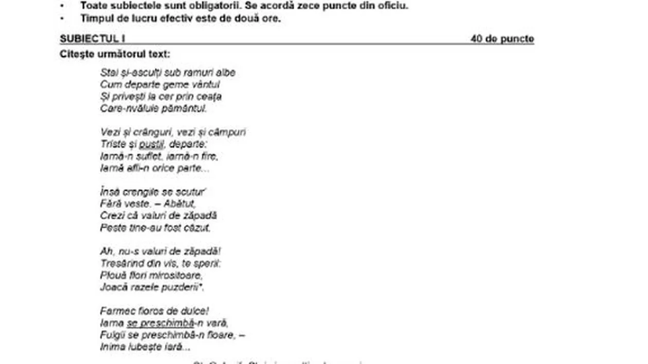 Eroare majoră în subiectele la Română de la simularea Evaluării Naționale: O poezie a lui Heinrich Heine, atribuită lui Ștefan Octavian Iosif