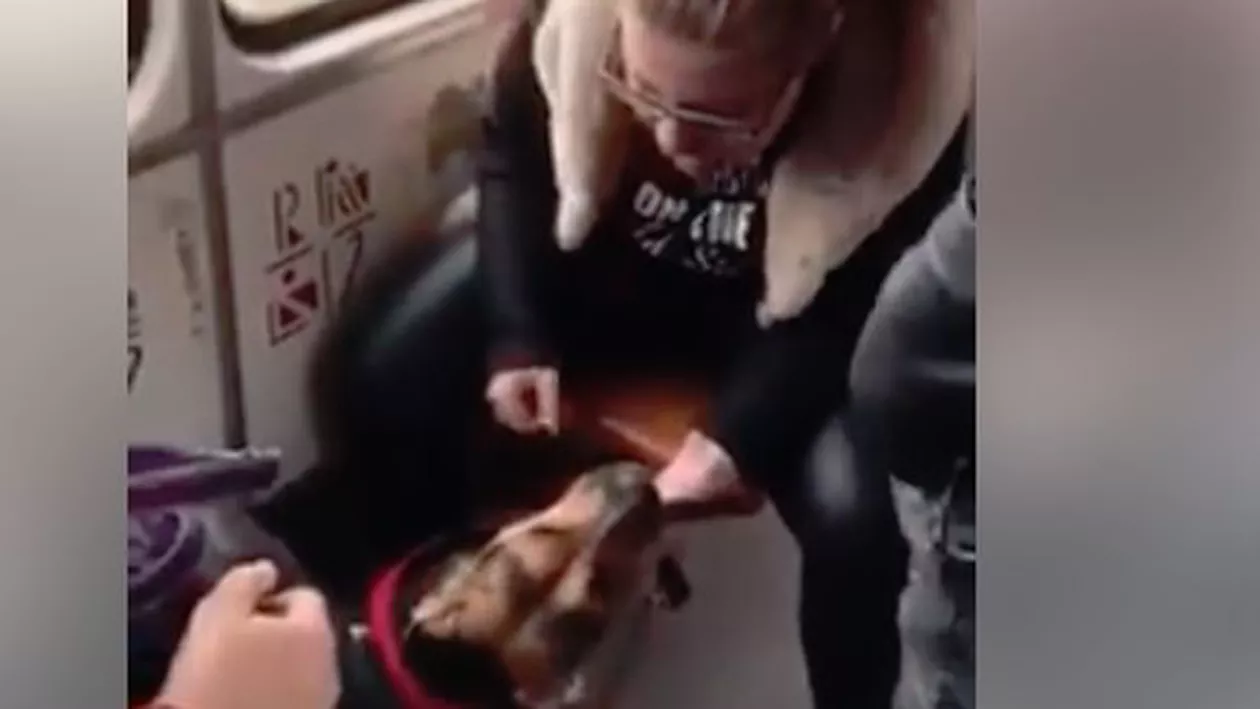 IMAGINI ȘOCANTE! Un câine, BĂTUT CU BESTIALITATE de stăpână într-un tramvai din București! (VIDEO)
