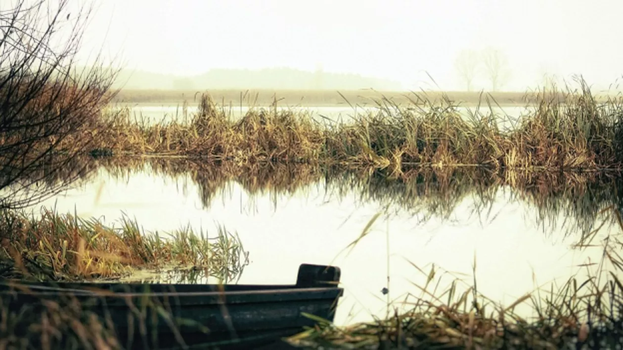 S-A AFLAT! Cine este femeia al cărei CADAVRU a fost găsit plutind pe râul Someş. Din nefericire, e vorba chiar despre... (FOTO)