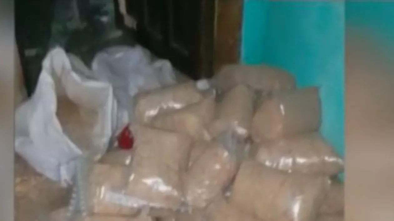 Cea mai mare rețea de trafic de tutun, destructurată. Polițiștii au făcut 100 de percheziții în peste 20 de județe (VIDEO)