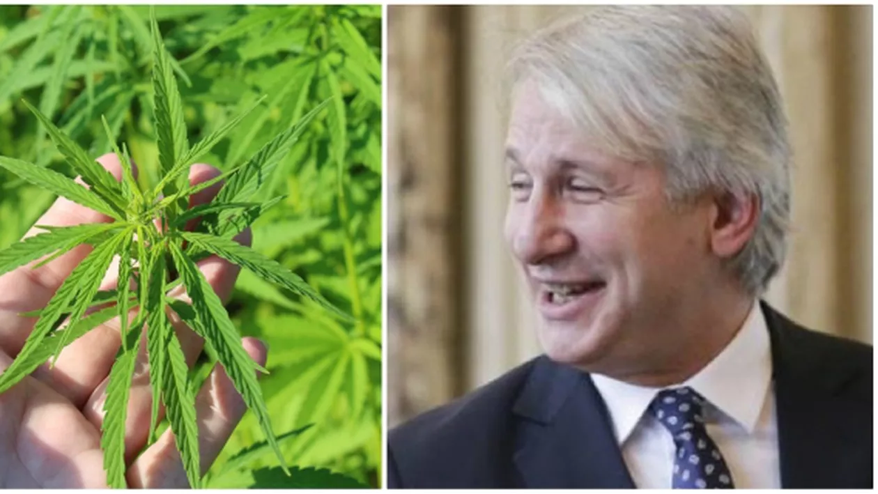 După ce a anunțat că vrea să candideze la președinție, 'Discotecă' Teodorovici pregătește legalizarea CANABISULUI