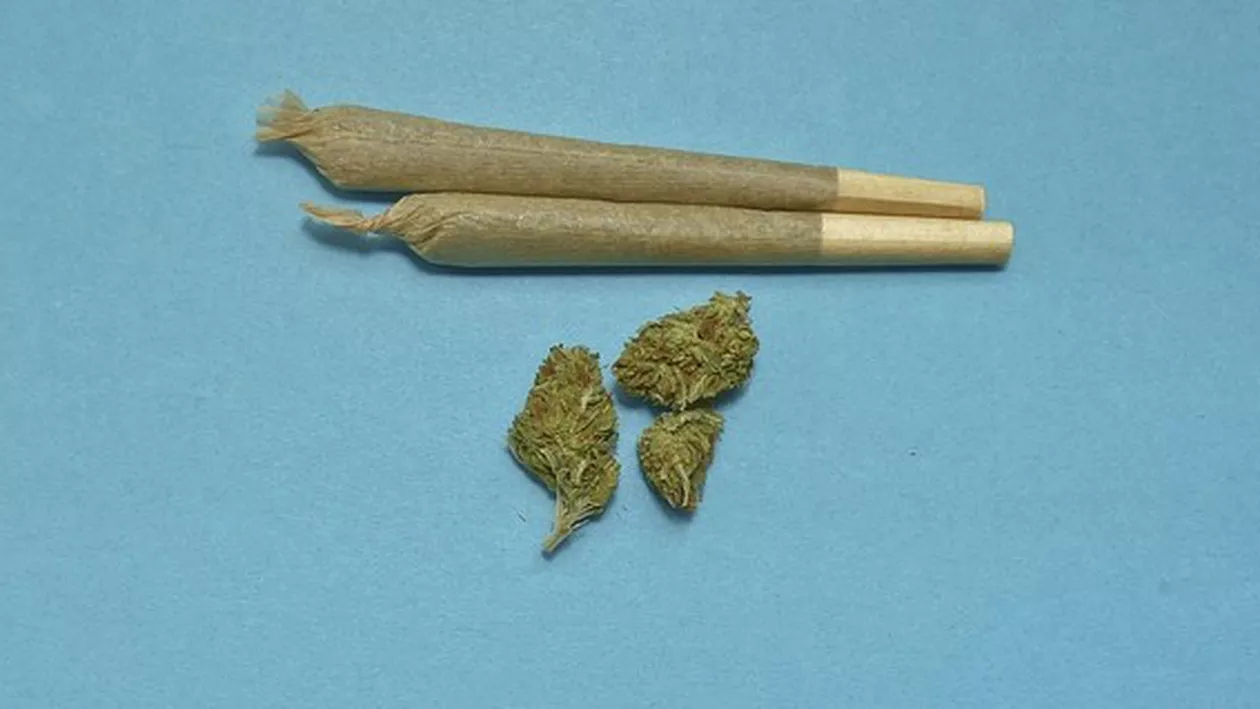 HALUCINANT! Doi italieni au vrut să cumpere tăcerea unui român cu marijuana. Ce s-a întâmplat...