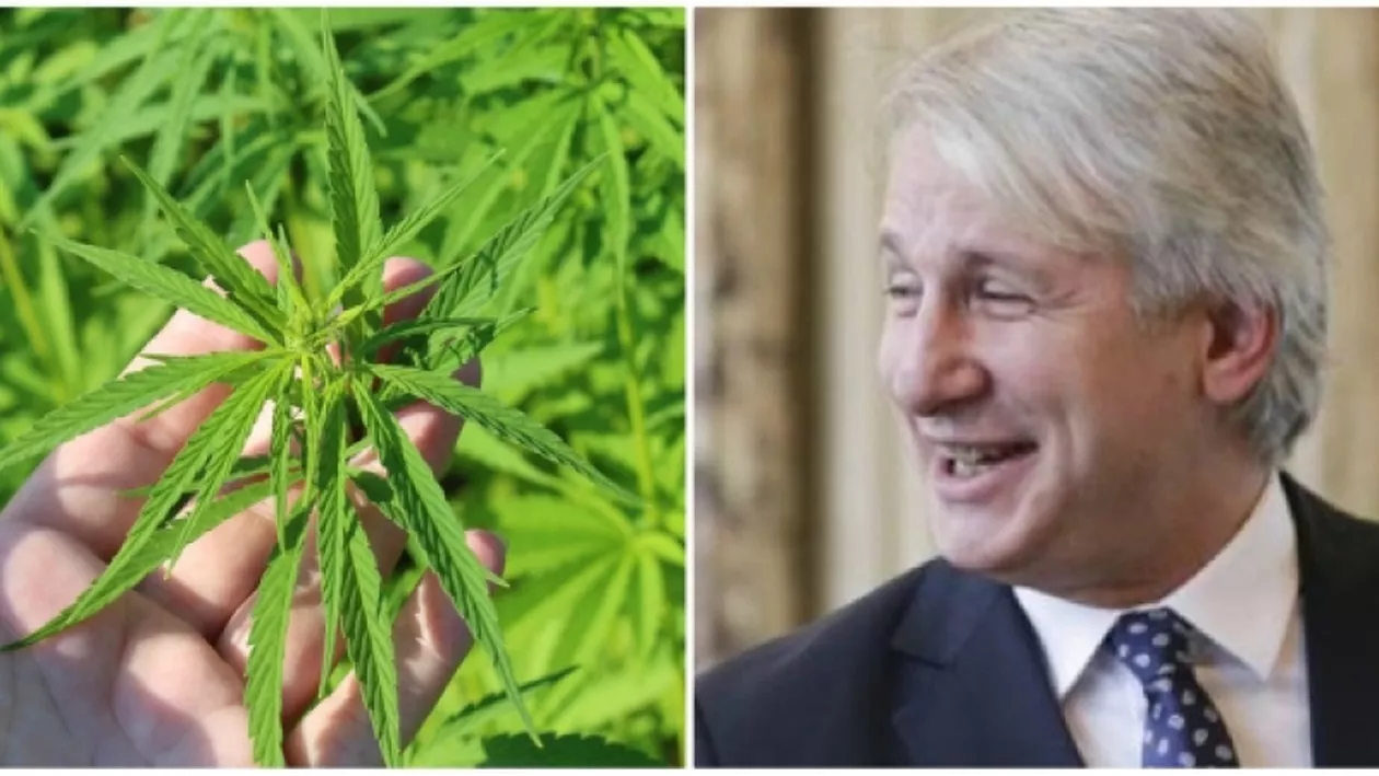 Discotecă' Teodorovici, CRITICAT în Parlament, după ce a anunțat că pregătește legalizarea CANABISULUI: 'Situația ar putea scăpa de sub control' / 'Ce treabă are ministrul Finanțelor cu această măsură?'