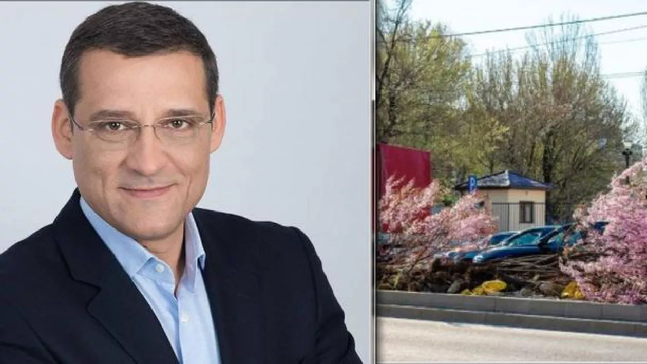 'Așa înțelege primarul GABRIEL MUTU să administreze unul dintre cele mai aglomerate bulevarde ale Capitalei'.  Primarul Sectorului 6, preocupat să schimbe din nou BORDURILE, IARBA și COPACII