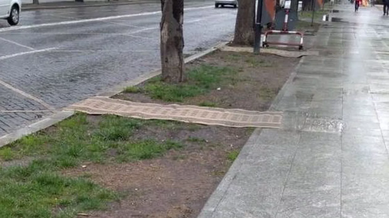 Imagini VIRALE din județul baronului Oprișan! Experţi din UE, primiţi la Focşani cu preşuri pe spaţiul verde: 'Să nu murdărească autocarul de noroi' (FOTO)