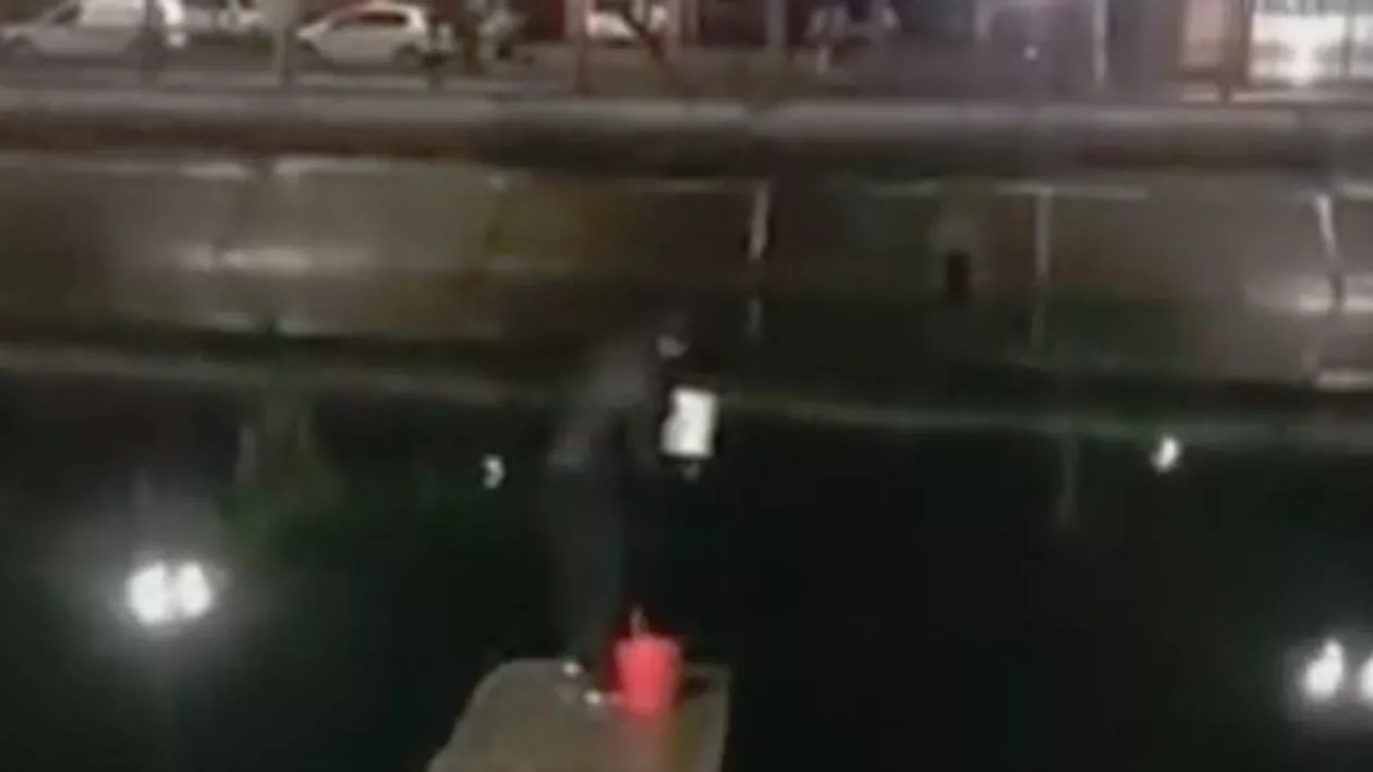 Angajații unei terase din București, surprinși când aruncă GĂLEȚI CU ULEI ARS direct în Dâmbovița: 'Da' care-i treaba ta?!' (VIDEO)