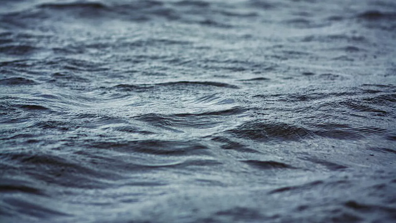 Descoperire MACABRĂ! Un cadavru a fost zărit PLUTIND în apele Siretului