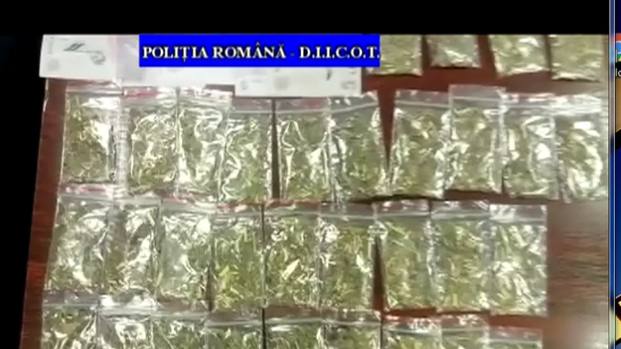 Ploieşti: Doi brăileni, prinşi în flagrant în timp ce vindeau etnobotanice