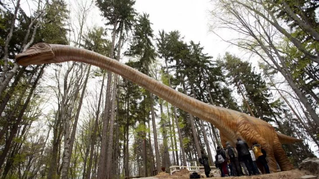 Cel mai mare dinozaur descoperit vreodată a fost reprodus la Dino Parc Râșnov (VIDEO + FOTO)