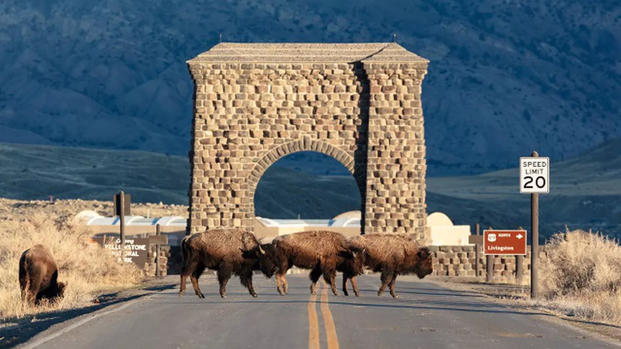 Cum se văd mai multe parcuri naturale de la o altitudine de câteva sute de kilometri (FOTO)