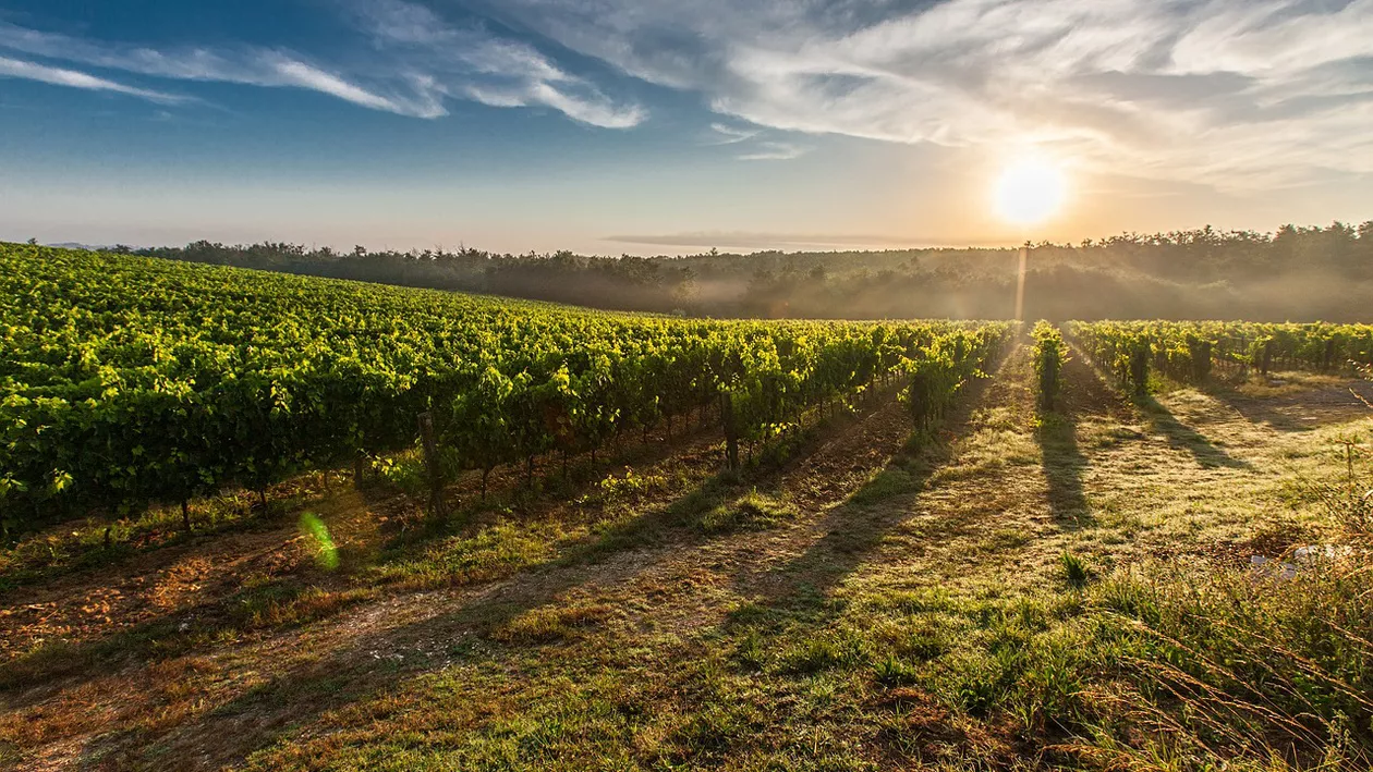 Agenţia pentru Finanţarea Investiţiilor Rurale: 44 de proiecte de investiţii în infrastructura de irigaţii, finalizate prin PNDR 2020. Valoarea proiectelor depășește 12 milioane de euro