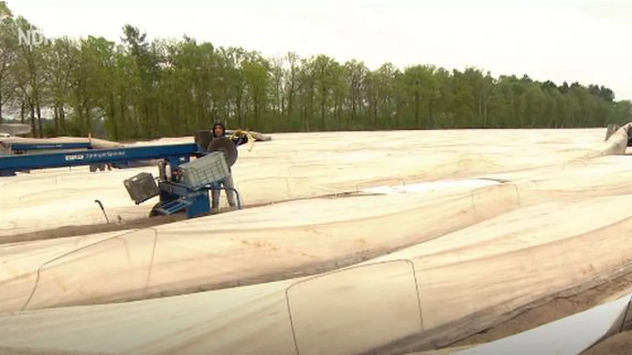 Germania începe să simtă lipsa muncitorilor români: ''Nu mai vor să lucreze la noi''