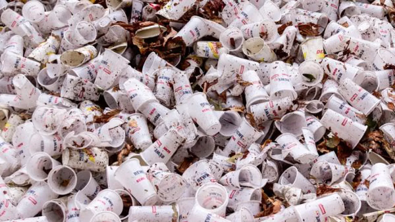 Sârbii sunt revoltaţi: Sunt ameninţaţi de o criză ecologică pentru că apele Timişului au adus gunoaie din România