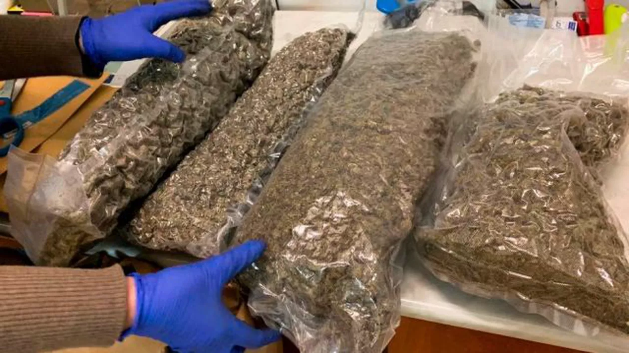 Carmen Dan a solicitat măsuri suplimentare pentru prevenirea și combaterea traficului și consumului de droguri la malul mării