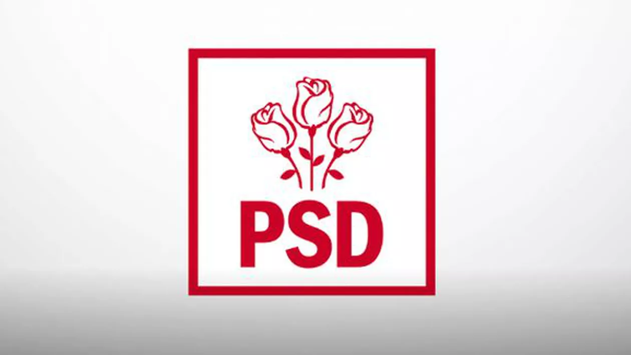 Prima reacţie din PSD după ce Timmermans a ameninţat cu activarea Articolului 7: Suntem un stat suveran, independent, politica ne-o facem noi în statul nostru