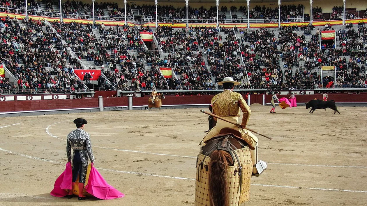 Scene GREU de PRIVIT! Un matador șterge LACRIMILE unui taur, chiar înainte de a-l ucide (VIDEO)