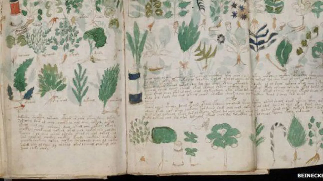 BOMBĂ ISTORICĂ: Misteriosul MANUSCRIS VOYNICH confirmă că LIMBA ROMÂNĂ nu provine din latină! Comunitatea științifică e în DELIR (FOTO)